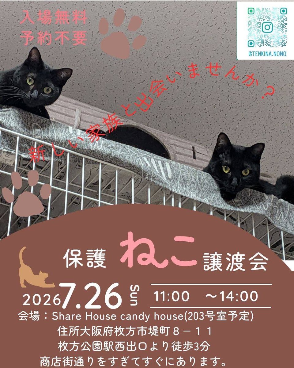 kolozoQ's tweet photo. 枚方のシェアハウスで猫の譲渡会を開催することになったので、猫にもシェアハウスにも興味ある方は是非お越しください😸 https://t.co/rhN0GNrZUE
