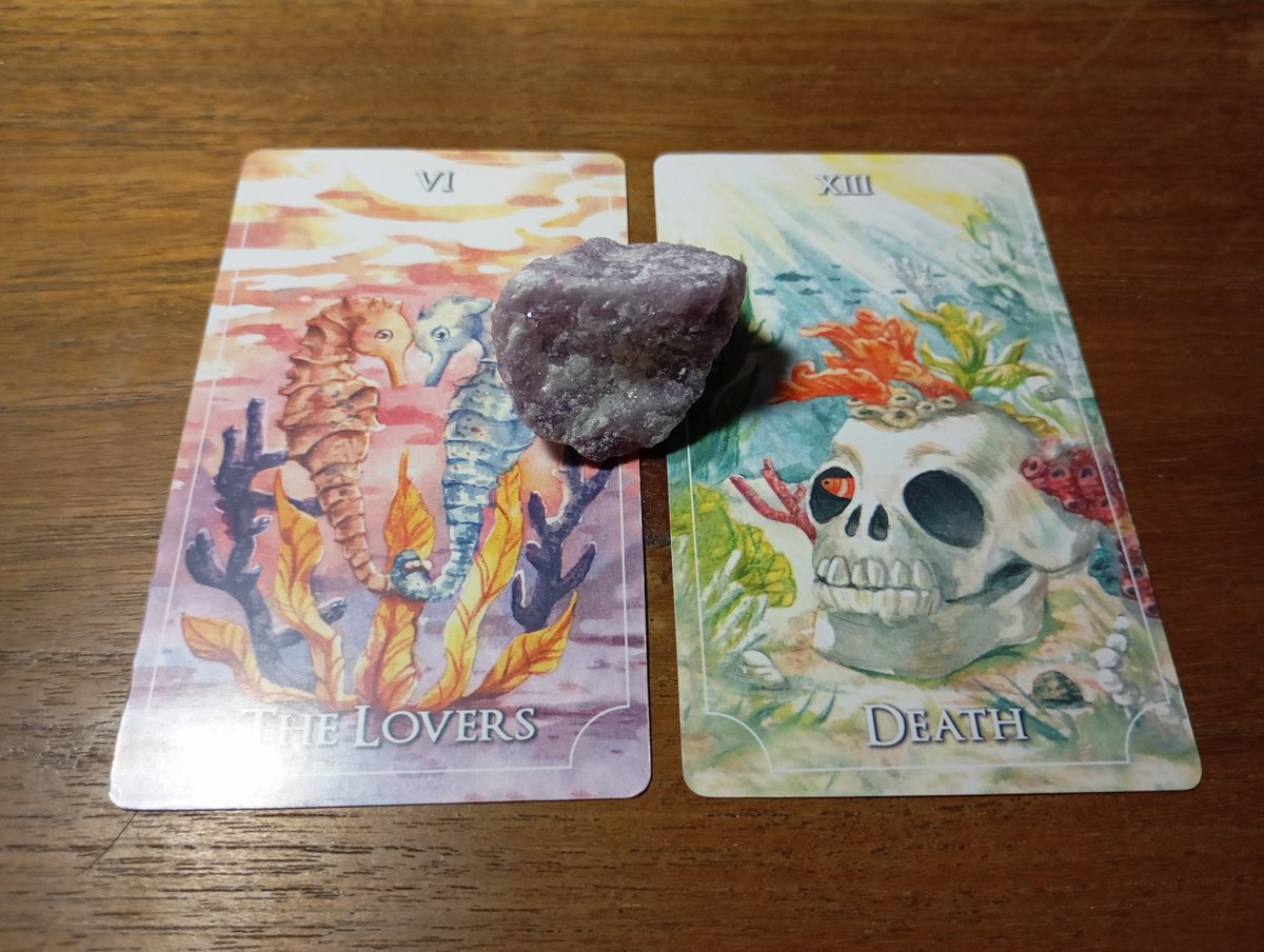 elizabeth | tarot reader ; OPEN! tweet media