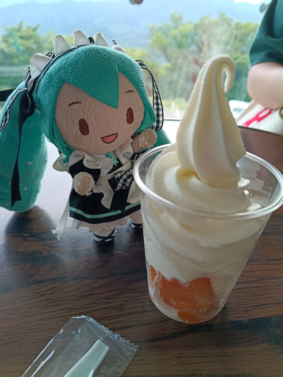 kogumaya_TT tweet picture