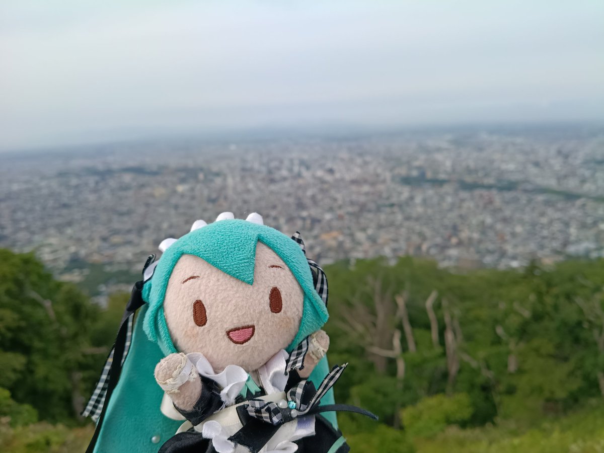 kogumaya_TT tweet picture