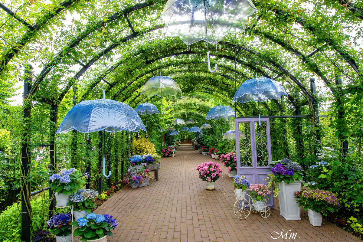 winhuuta's tweet photo. 雨音のアーチ https://t.co/PgQFxwNXv5