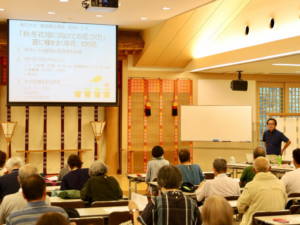 春日大社 kasugataisha shrine tweet media