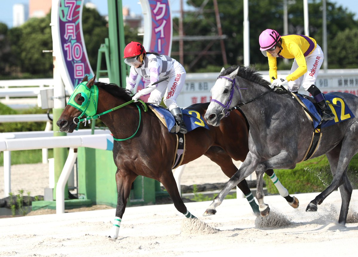 sponichikeiba's tweet photo. 【#阪神アーバン競馬】
絶好調！
#佐々木世麗 騎手が #セイルオンセイラー で11Rを勝ち、10,11Rと連勝で今年「49」勝目😆
メイン勝利は今年3度目ですが、過去2度はいずれも雨だったので晴れで勝つのは今年初✌️
準メイン、メイン連勝もキャリア初で「晴れてよかったー」と世麗スマイル全開でした😄 https://t.co/20bvjx6TWL