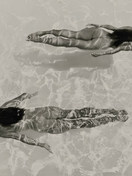 Olivierthelast's tweet photo. In the passing of Summer

© Neeltje de Vries https://t.co/WX5z2IYzze