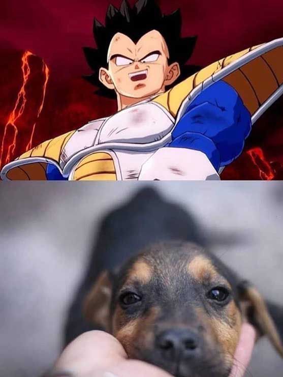 DBZdaily_'s tweet photo. https://t.co/xSrtsYO74m
