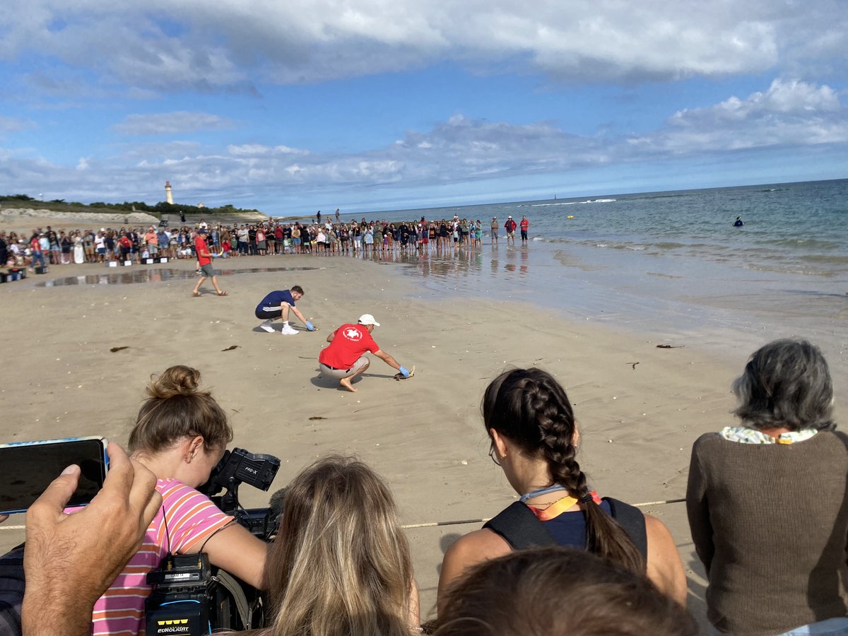 Gendarmerie_017's tweet photo. 🐢🌊 33 tortues ont retrouvé l'océan sur l'Île de Ré après leur prise en charge par l'Aquarium de La Rochelle. Les gendarmes et les plongeurs de la Gendarmerie étaient mobilisés pour sécuriser cette remise à l'eau. 

Une belle action pour la biodiversité marine ! 🌍 https://t.co/nBNwpUSlpT