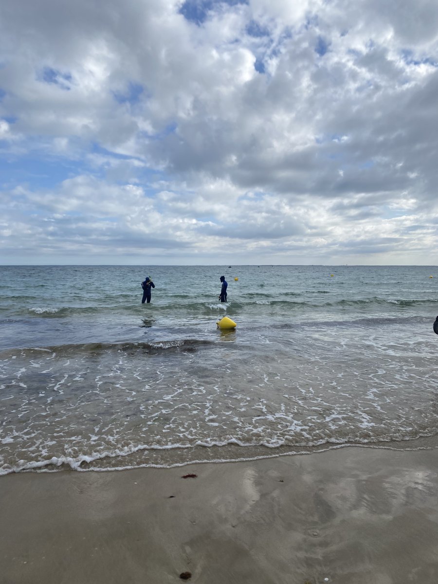 Gendarmerie_017's tweet photo. 🐢🌊 33 tortues ont retrouvé l'océan sur l'Île de Ré après leur prise en charge par l'Aquarium de La Rochelle. Les gendarmes et les plongeurs de la Gendarmerie étaient mobilisés pour sécuriser cette remise à l'eau. 

Une belle action pour la biodiversité marine ! 🌍 https://t.co/nBNwpUSlpT