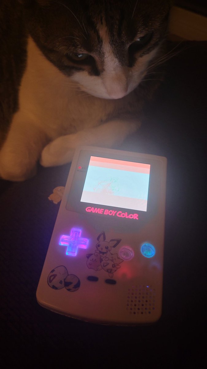 equinox04k's tweet photo. @superexcitebike i freaking Love My Game Boy https://t.co/kLzZ1H8vGP