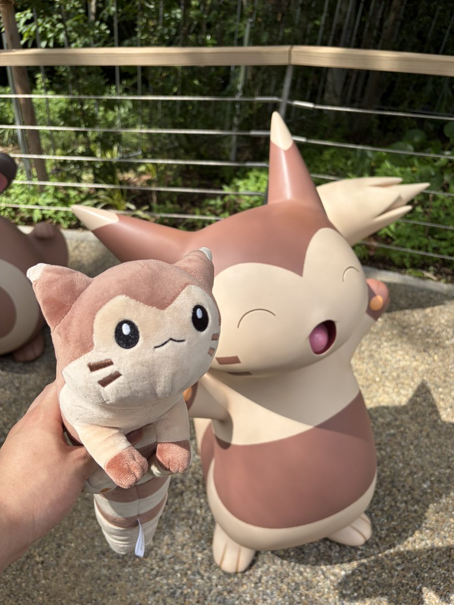 panpaka77's tweet photo. 写真撮りすぎてやばい https://t.co/iBjFNejkIQ