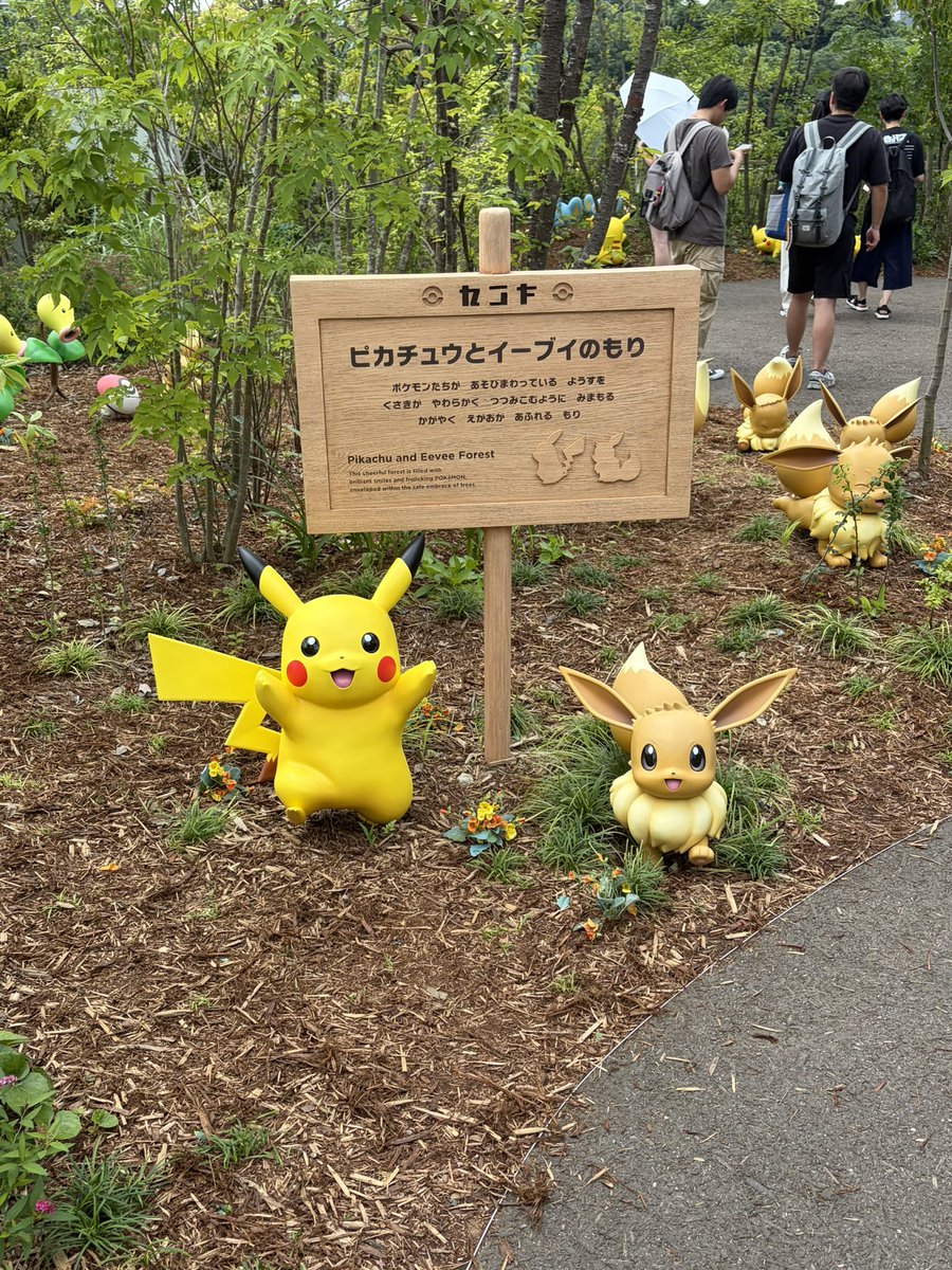 panpaka77's tweet photo. 写真撮りすぎてやばい https://t.co/iBjFNejkIQ