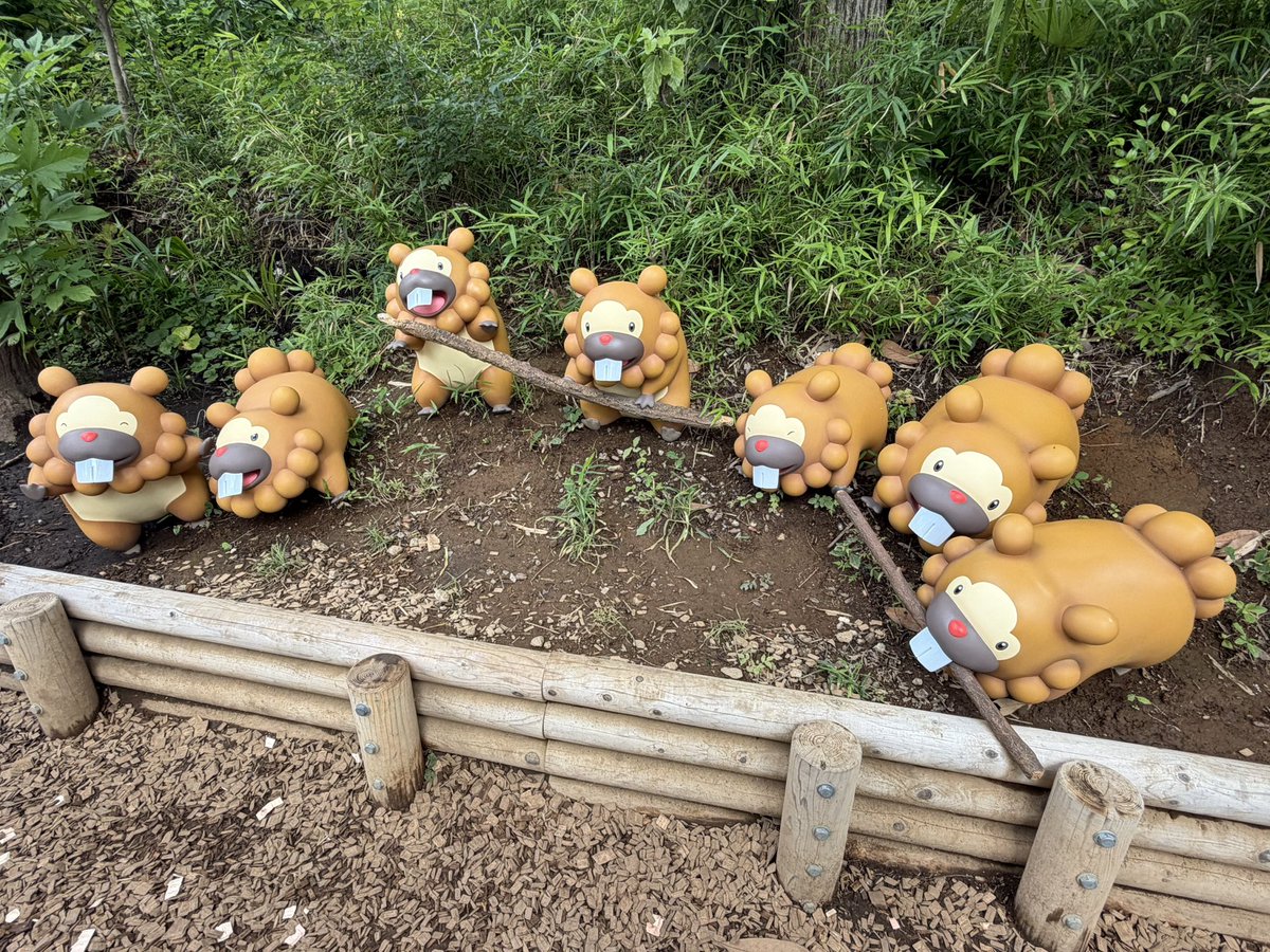 panpaka77's tweet photo. 写真撮りすぎてやばい https://t.co/iBjFNejkIQ
