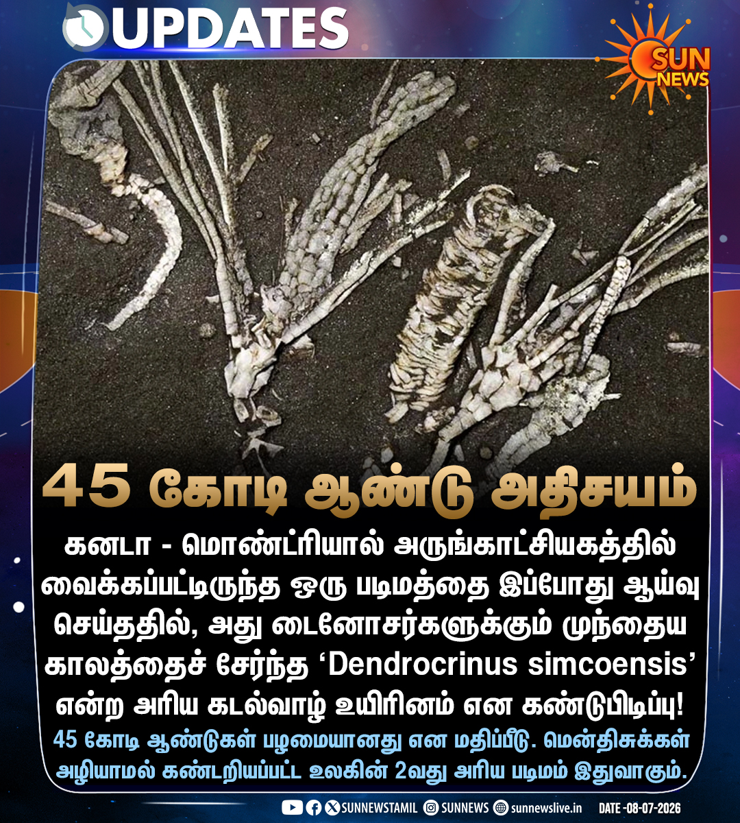 sunnewstamil's tweet photo. #NewsUpdate | டைனோசர் காலத்துக்கு முந்தைய உலகின் 2வது அரிய படிமம் கண்டுபிடிப்பு!

#SunNews | #Canada https://t.co/94TYjrLDkC