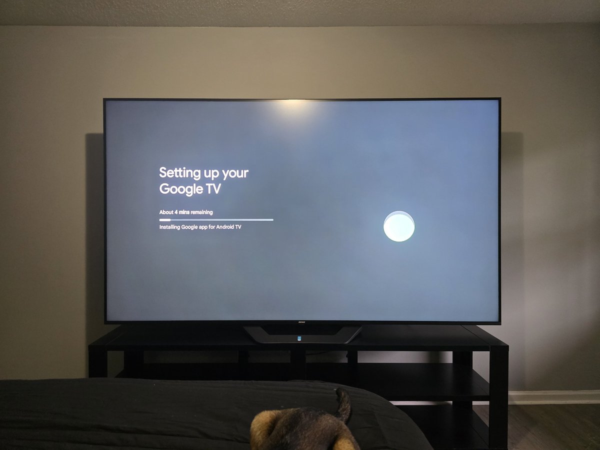 BusyDadOf8's tweet photo. The nicest thing I've ever been given. A 100inch TV. When I move this month it's going to be a pain to move 🤦🏻‍♂️.  #DadLife #SoloMission #OneDayAtATime https://t.co/dMjSAfJ0Lv