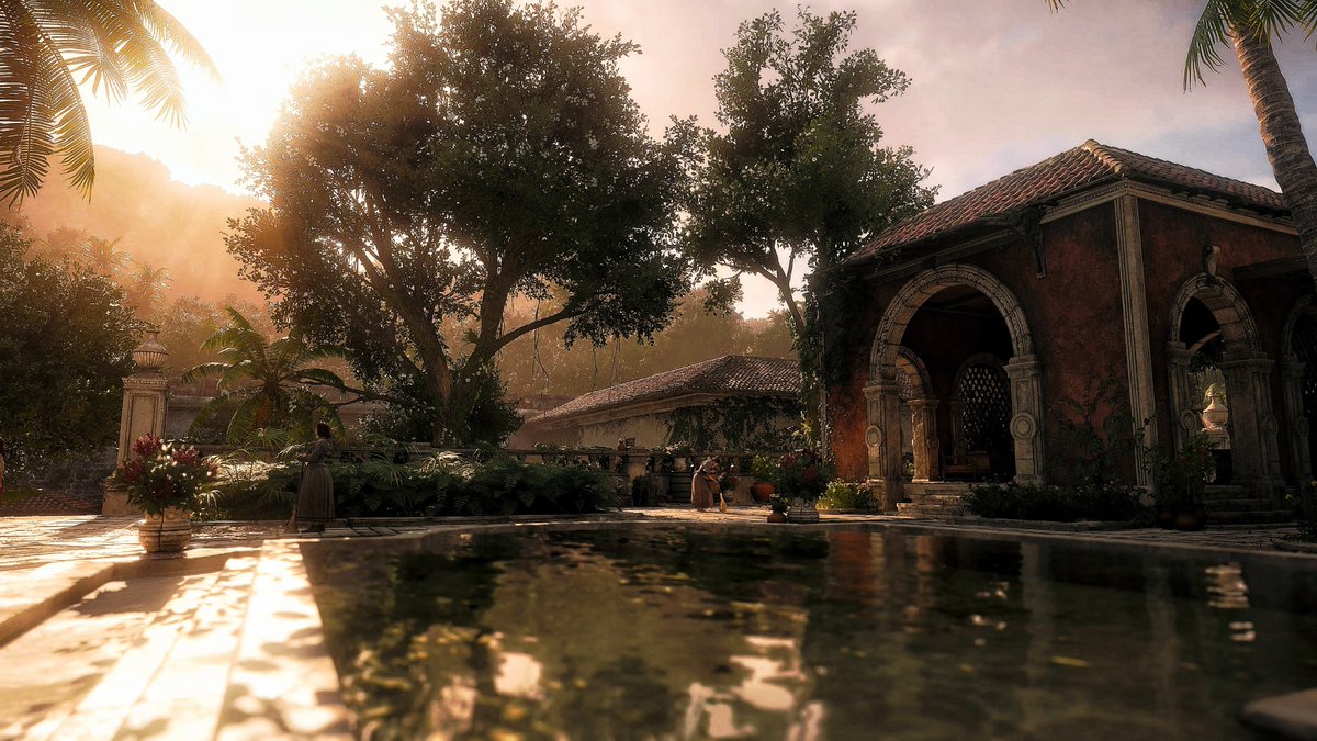 Photomode_Raro tweet picture