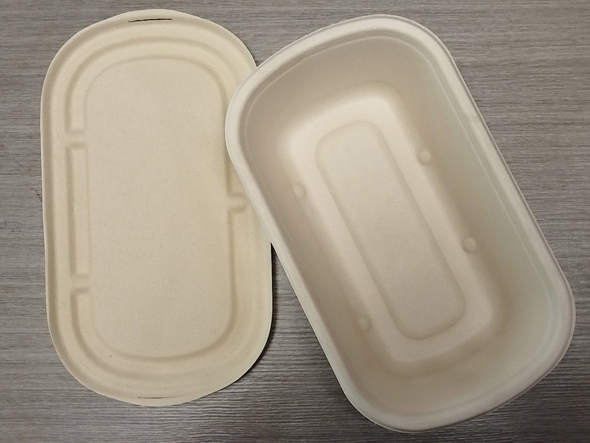 gzecopack12's tweet photo. Natural Color Sugarcane Bagasse Container(Actual sample photos) https://t.co/qJ9iZ2YYii
