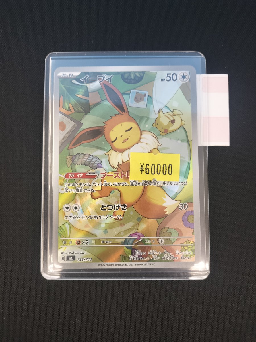 イーブイ太郎さま専用 イーブイ [755/742] お買取りさせていただきました！ 傷み有のお品物