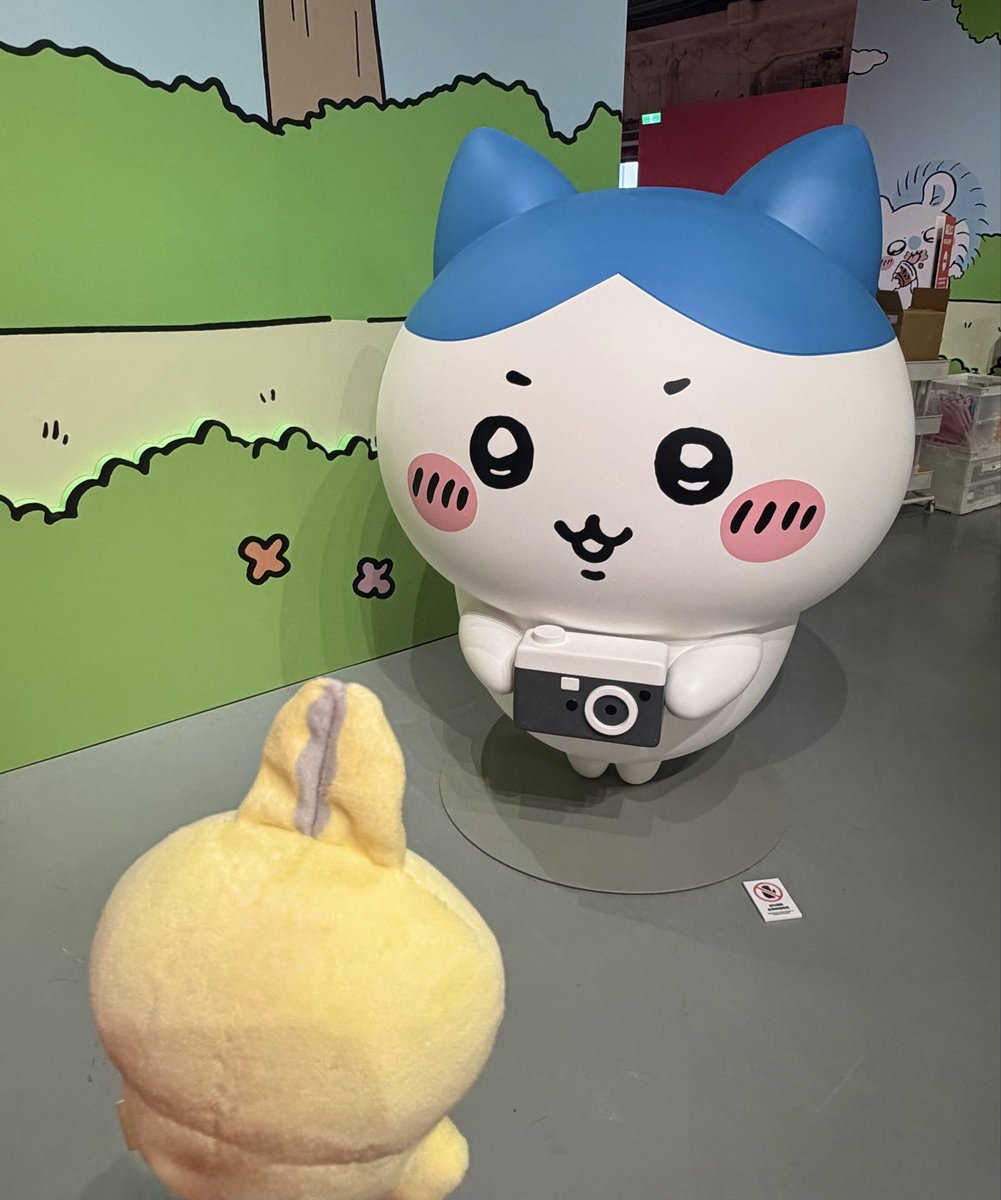 hai_chiikawa's tweet photo. 南国家のデヤ氏、ハチワレカメラマンに撮影してもらう📸

#ちいかわ https://t.co/NxeykNheJ8