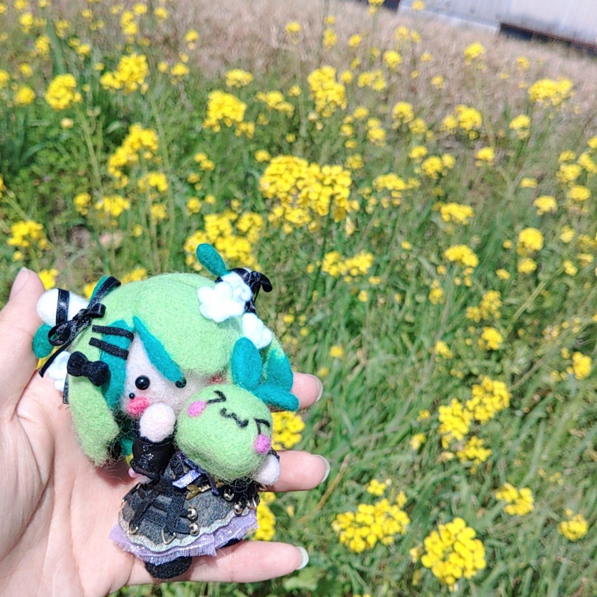 uranus_4921's tweet photo. I took this doll out of storage for the first time in a while and realized it hardly ever gets used anymore.

So, I’ve decided:

If there’s even one Sapling who wants it... https://t.co/EG4dTfwafM