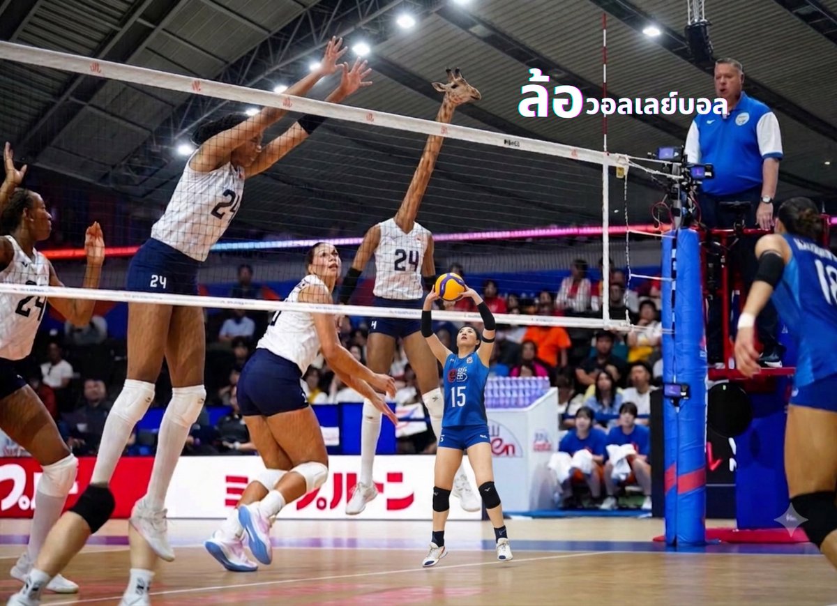 VolleyJokes's tweet photo. POV: ไทย VS เมกา

#วอลเลย์บอลหญิง #VNL2026 https://t.co/Pa76BOScAQ