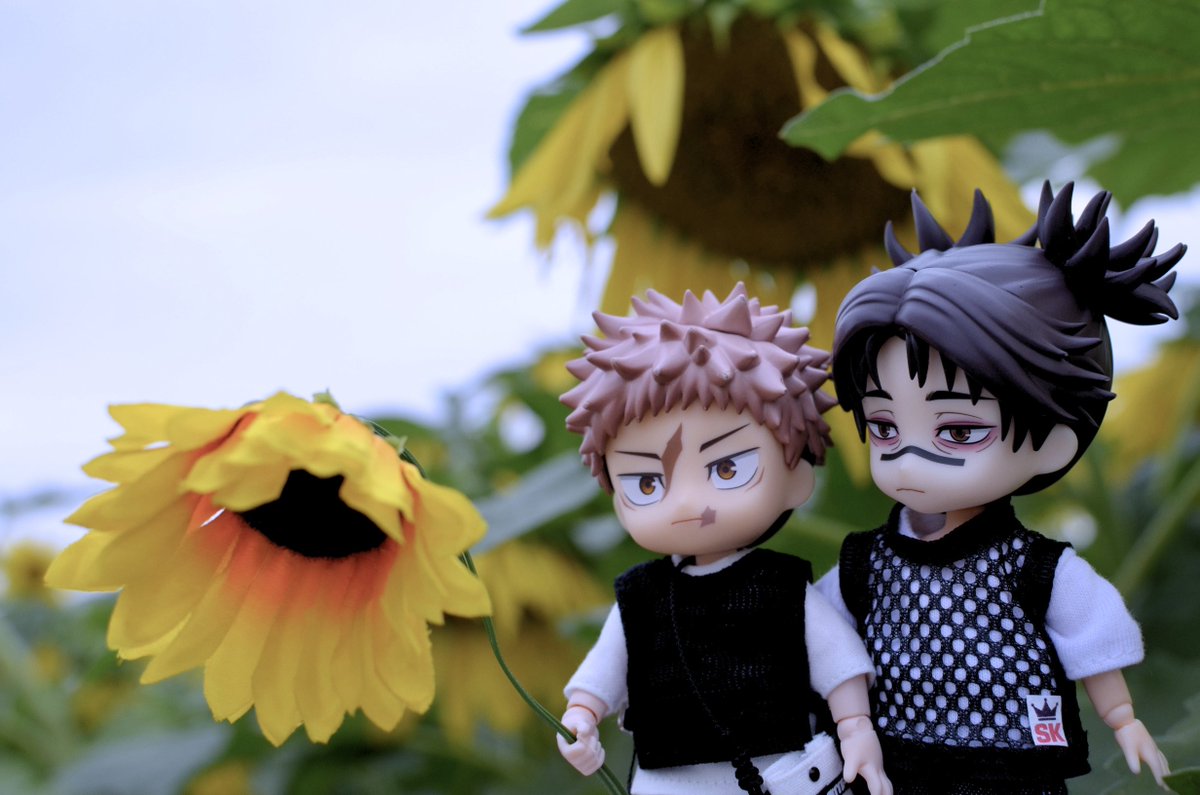 hiro_r0o's tweet photo. 夏の余白。

穏やかな余韻を残した向日葵と、悠仁と脹相🌻

🩸 大丈夫だ、お兄ちゃんがついてる… https://t.co/rcf1iJfJJa