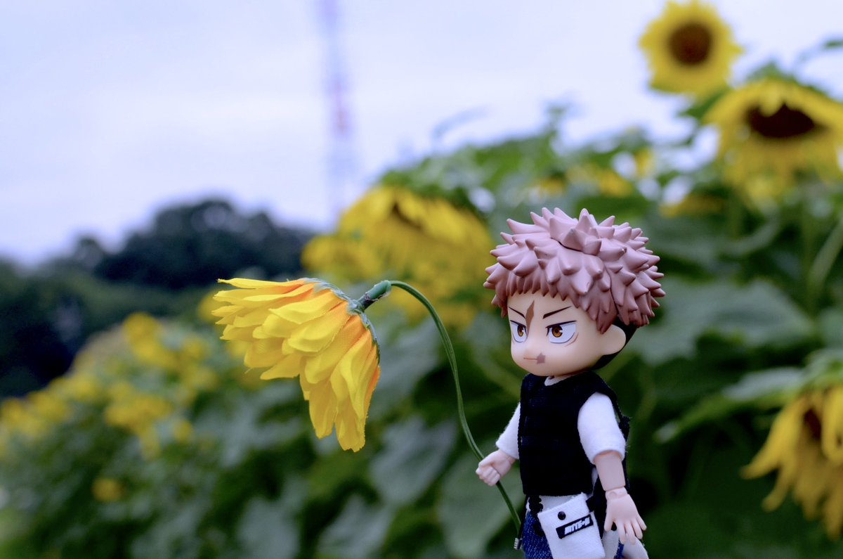 hiro_r0o's tweet photo. 夏の余白。

穏やかな余韻を残した向日葵と、悠仁と脹相🌻

🩸 大丈夫だ、お兄ちゃんがついてる… https://t.co/rcf1iJfJJa