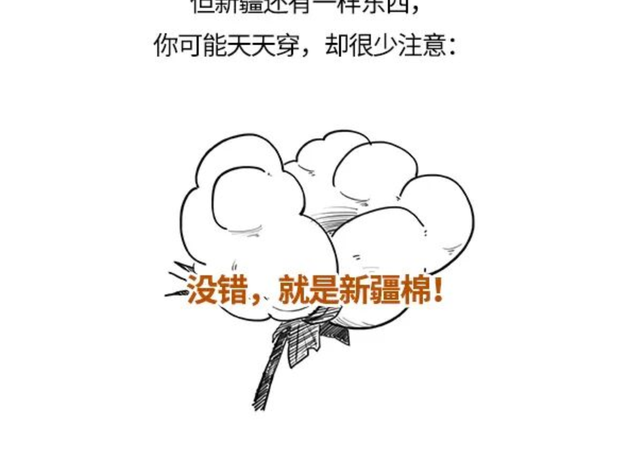 SamuelAtuhwnfq's tweet photo. 同样是棉花，新疆棉好在哪？ https://t.co/yMiP1Ie8Cy