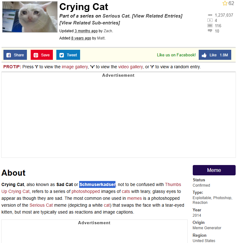 patchsol's tweet photo. the original meme name of $cashcat is literally Schmusekadser

free beta to the one at 100M

https://t.co/8wxEMV69jo https://t.co/aO26K2Tupg
