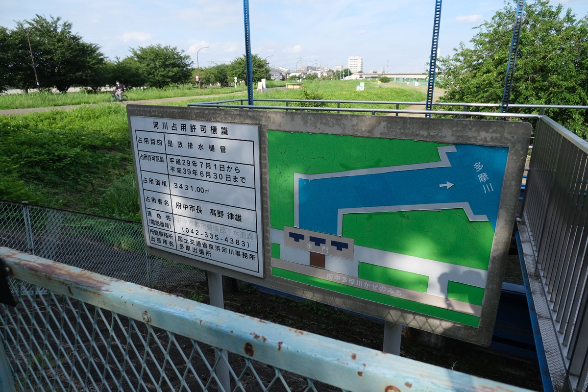 Taichan021's tweet photo. 多摩川の青柳から取水され、崖線からの湧水を引き込みながら流れてきた府中用水の大半は
是政排水樋管から再び多摩川へ放流されてるそう(一部はまだ続く) https://t.co/nSF1zAadQg
