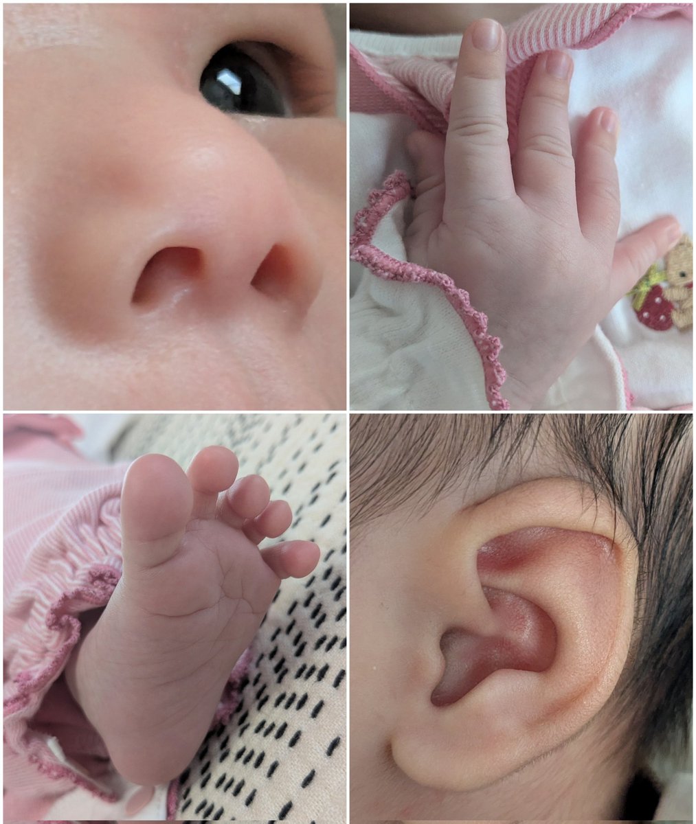 snow3168's tweet photo. お子が生まれて、ぶじ１ヶ月！

退院前の写真見てたら
もう新生児の顔つきじゃないんだなぁって既にエモい😭😭 https://t.co/NtFn0g93N2