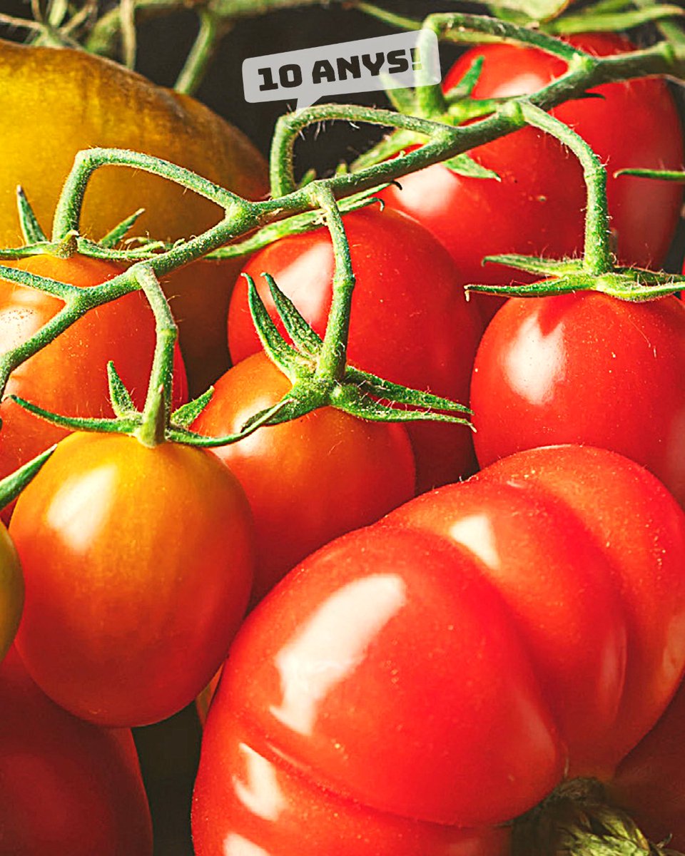 festatomaquet's tweet photo. 🍅🎉 Sabies que els millors tomàquets del món els trobaràs al Mercat del Tomàquet amb pagesos del Bages?
T'hi esperem!!
📅 25/07/26
📍Passeig Pere III https://t.co/FzzKymFE9s