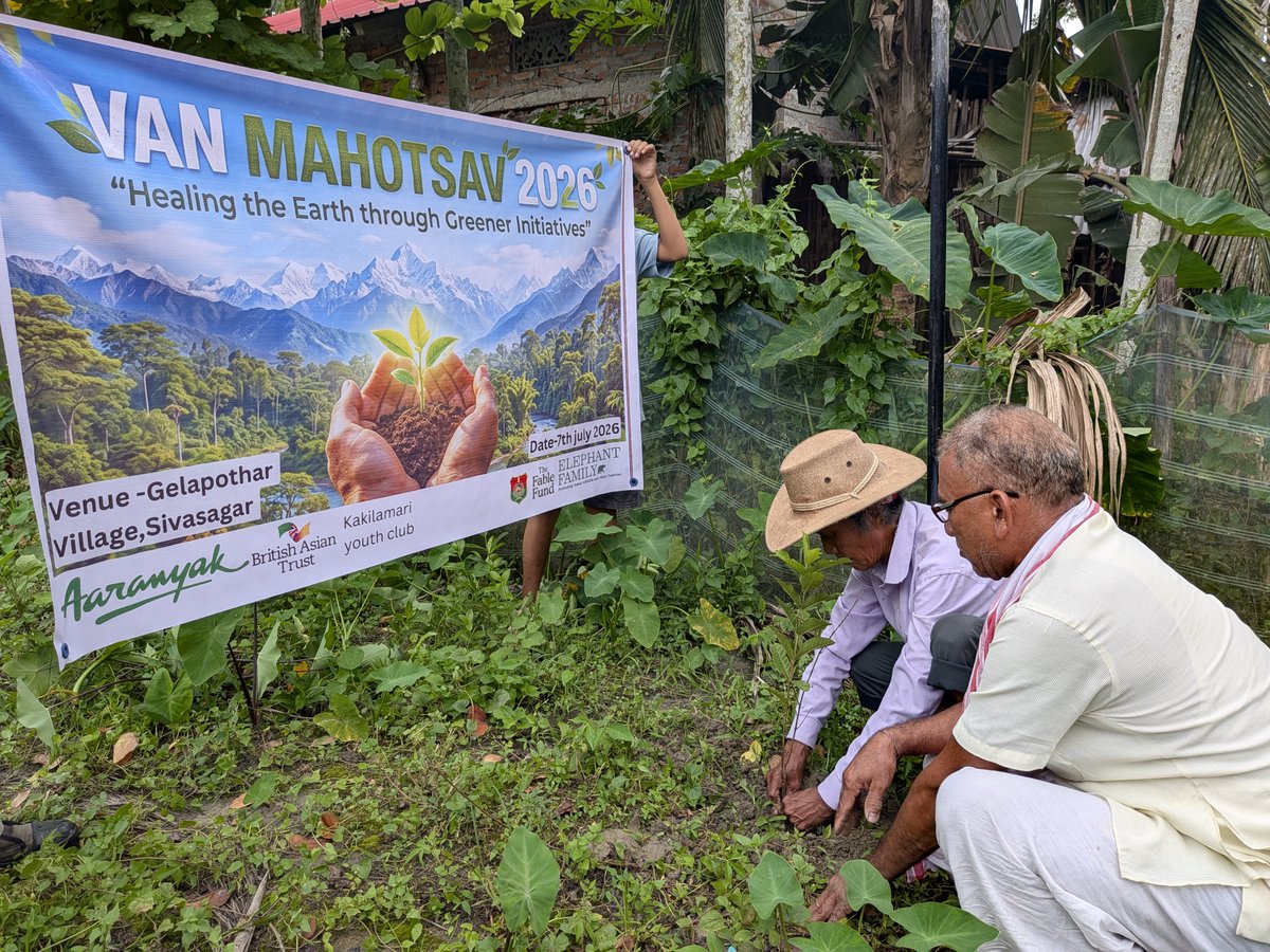 aaranyak's tweet photo. 🌳 Growing greener futures, together!

To celebrate #VanMahotsav, Aaranyak joined hands with the Demow Forest Beat Office, local youth clubs and the Gelapathar community in Sivasagar to plant 30 native saplings across two sites, promoting community-led forest restoration and environmental stewardship.

Supported by Elephant Family, British Asian Trust (BAT) and The Fable Fund.

#ForestRestoration #TreePlantation #CommunityConservation #Assam #Aaranyak