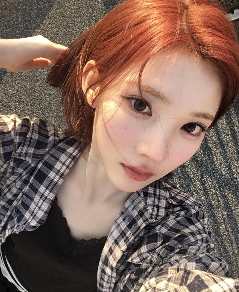 EcoWvae48566's tweet photo. 확신의 레즈픽 얼굴상 https://t.co/5kiKYPyEOR