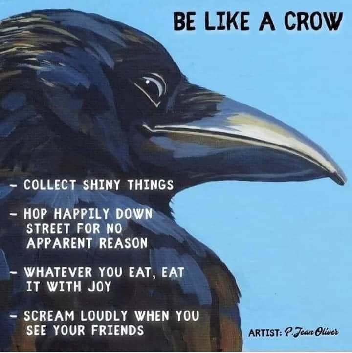 The_Regal_Raven's tweet photo. https://t.co/dY58BJrcdB