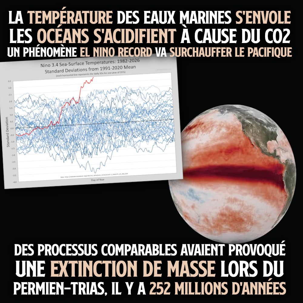 ContreAttaque_'s tweet photo. LA MER EST EN SURCHAUFFE ET DE PLUS EN PLUS ACIDE

Pendant que, sur la terre ferme, nous suffoquons et voyons la végétation dépérir ou s'embraser, les océans subissent l'équivalent de canicules aquatiques, qui échappent à nos regards, mais sont encore plus graves.

1/2 ⤵️ https://t.co/vYqPdfSrYU