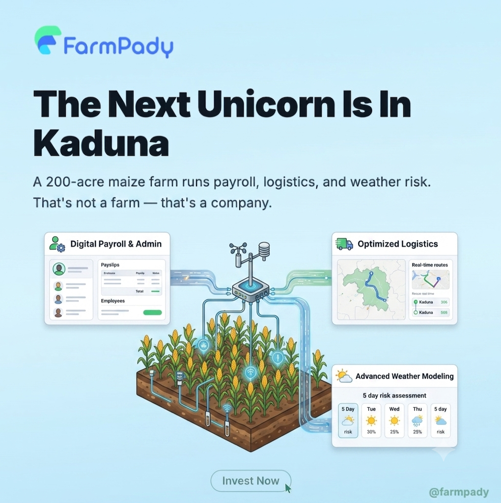 farmpady's tweet photo. A 200-acre maize farm in Kaduna runs payroll for 40 workers, manages logistics, and hedges weather risk.
That's not a farm. That's a company.
Investors hunt for the next unicorn in Lagos. It's already growing in Kaduna. 🌾
#Agripreneur #AfricanAgriculture https://t.co/iBczoswERM
