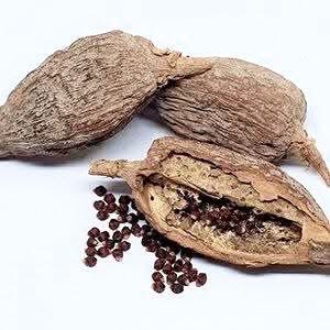 ThaOracleOfAges's tweet photo. A Morning Practice

Before speaking to anyone, take a quiet moment to set your intention for the day

Chew 7 seeds of alligator pepper, and declare:

‘I shall be like a tree planted beside living waters’

I will not wither

I will flourish

I will bear good fruit https://t.co/SPSQlHfygt