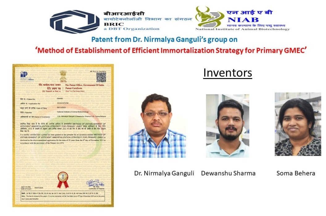 HydNiab's tweet photo. Excited to announce that invention from Dr. Nirmalya Ganguli’s lab (Scientist, @HydNiab) "Method of Establishment of Efficient Immortalization Strategy for Primary GMEC," has been granted an Indian Patent (Patent No. 594406). https://t.co/odIb80r9C5
