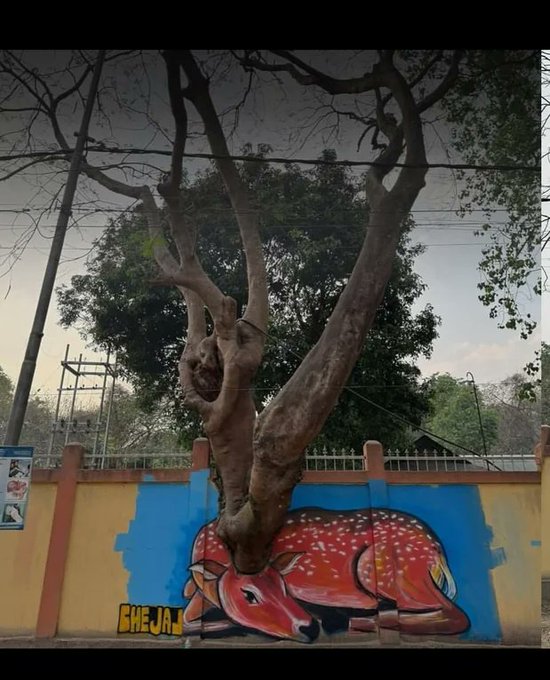Rainmaker1973's tweet photo. Street art in Assam India https://t.co/QoBXogPlHI