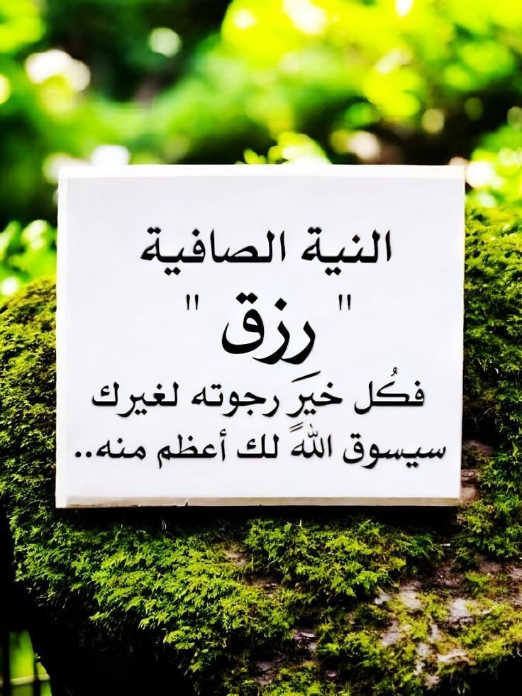 omfaisal0555131's tweet photo. #مقولة___اليوم

على قدر النوايا تأتي العطايا 
ويقال نيتك مطيتك وتعني 
أن نيتك الصالحة وحب الخير للآخرين 
كالمطية وهي الدابة التي تحملك لبلوغ أهدافك النبيلة دون عناء 
والنية محلها القلب وهي فيها البركة ومنها الخير العميم 
اللهم أصلح نيتي وذريتي✍️ https://t.co/ItZMPbnIVk