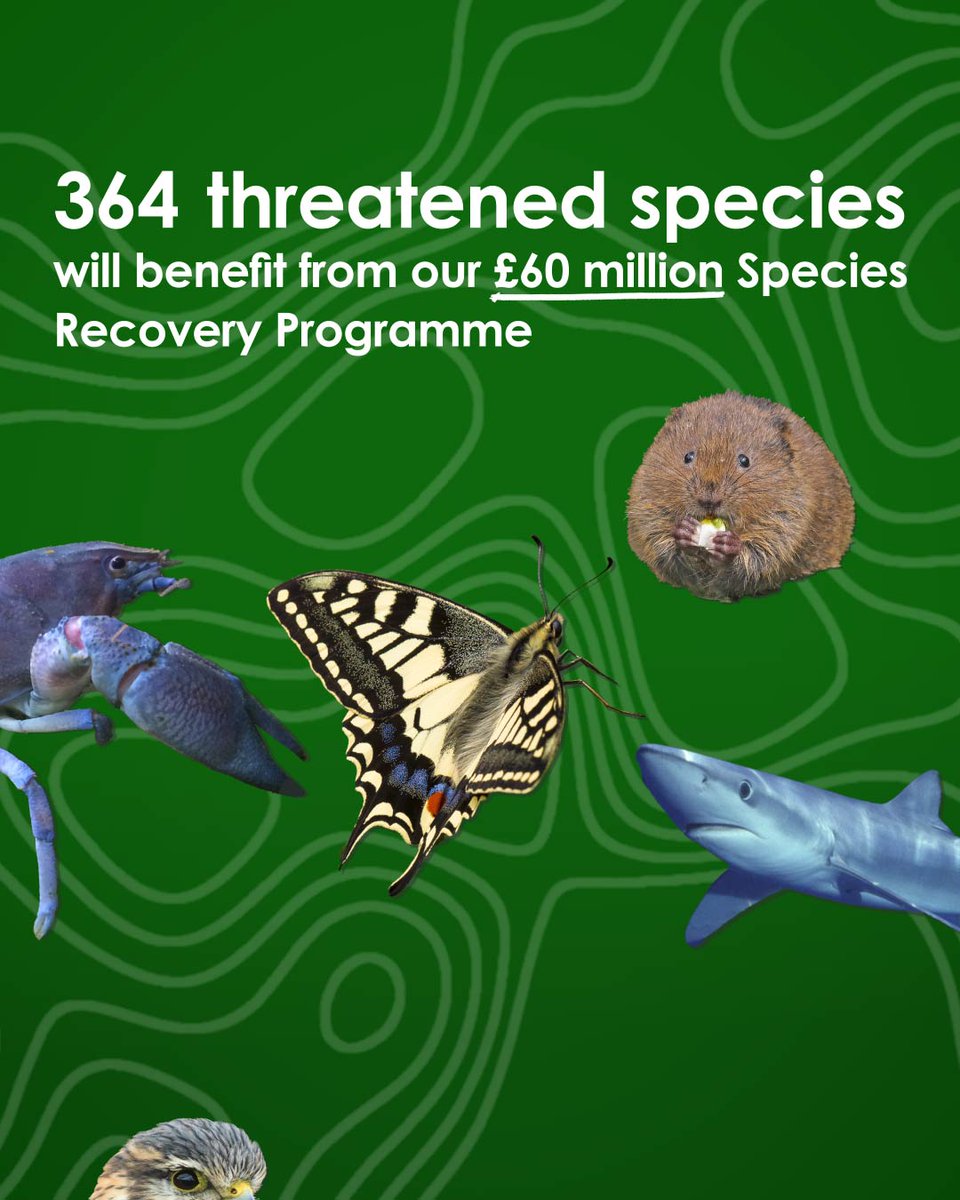 Natural England tweet media