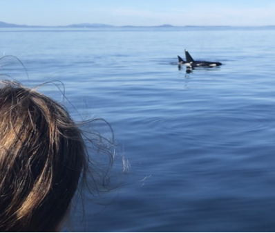 KunoEarth's tweet photo. Bruny Island’s waters are home to dolphins, humpbacks, southern right whales, blue whales and even orcas. A wild place where ocean life truly comes alive. 🐋🌊

https://t.co/ZolYytPVtZ https://t.co/qIRRCC0TGw