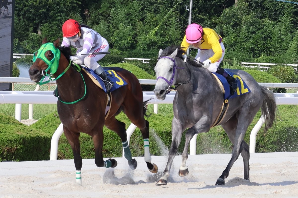 hochichihokeiba's tweet photo. 【阪神アーバン競馬】園田競馬

佐々木世麗騎手が準メイン、メインレースを連勝です。
11Ｒ「京都畜産特別」は佐々木騎手が、セイルオンセイラー（田中一巧厩舎）に騎乗し２着と首差で勝利。
今年３度目のメイン勝利。過去２度は雨だったので、晴れでのインタビューは今年初めて。「よかったー」と笑顔満開でした。
これで今年の「49」勝目となりました

#佐々木世麗
#セイルオンセイラー
#田中一巧