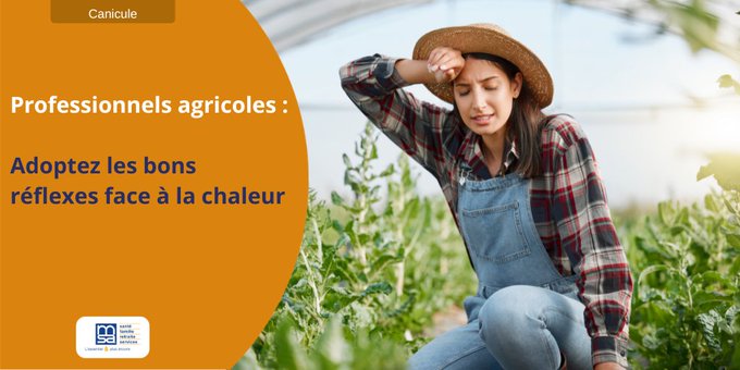 msa_bourgogne's tweet photo. 🌡️ Fatigue, vertiges, crampes, maux de tête… Avec la chaleur, ces symptômes peuvent annoncer un risque plus grave. Pauses plus fréquentes, eau fraîche, horaires adaptés, zones d'ombre : protégeons la santé des salariés en adoptant les bons réflexes.
➡️https://t.co/JWOfYPeFXg https://t.co/wpl89G5etv