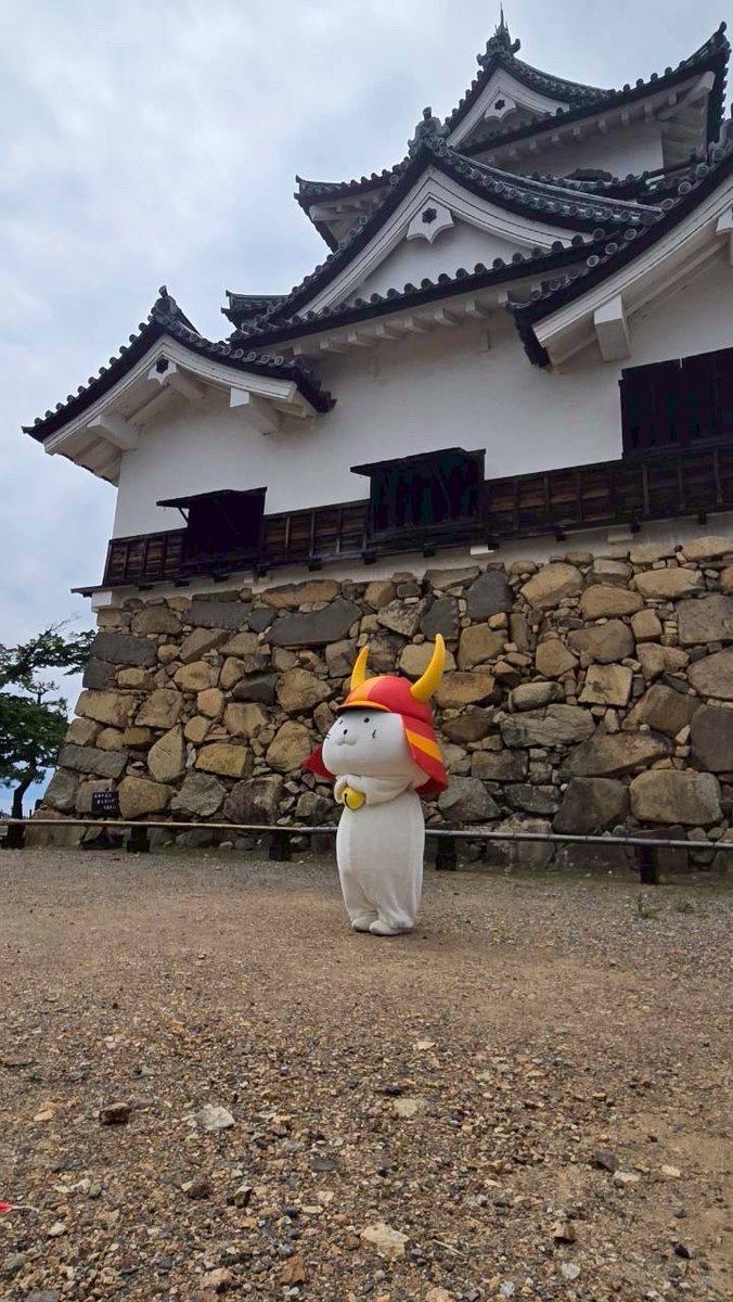 iinosuke_hikone's tweet photo. 本日も #彦根 は良いお天気でござった☀️

#ひこにゃん 殿はもっちりとお散歩しておられたでござるよ☺️

短い時間ではござったが、お客様に天守の魅力をたっぷりと伝えておられたでござる🏯

#いいのすけ #破風のご紹介中 https://t.co/QSdF95JEur