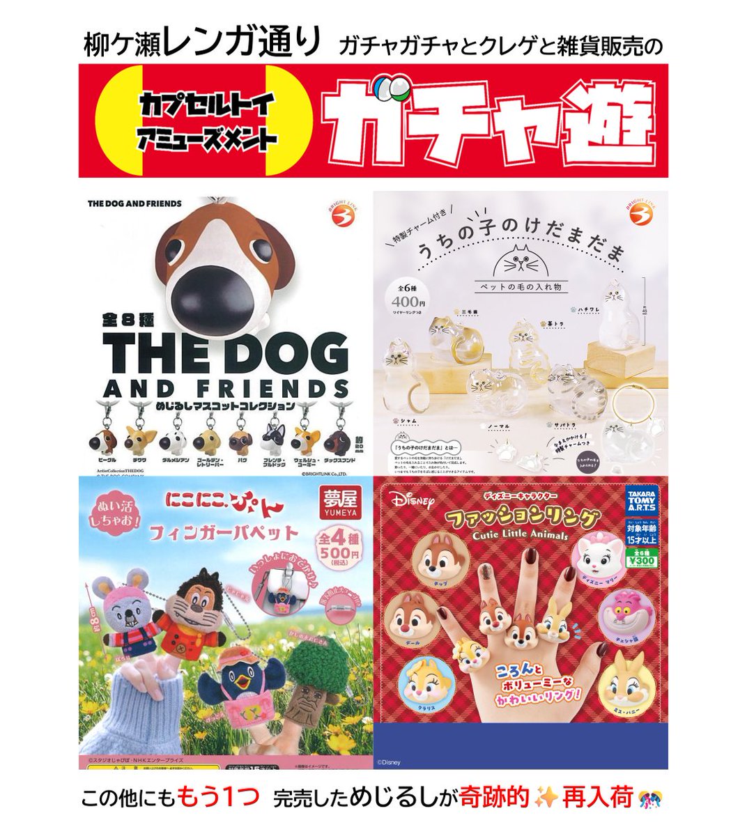 gachayu_gifu's tweet photo. #レンガ通り の #ガチャ遊 🥰
#カプセルトイ 入荷です📢

#うちのこ の #けだまだま 特製  #チャーム 付き
#毛玉
#THEDOG #めじるし #マスコット #いぬ #犬
#にこにこぷん #フィンガー #パペット
#ディズニー #ファッションリング #指輪 #マリー #チップデール #ミスバニー #チェシャ猫

#ガチャガチャ https://t.co/1ahOzVzgbv