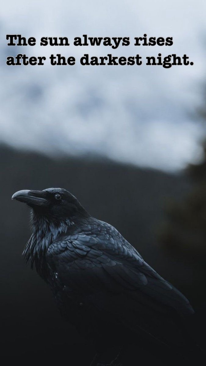 𝐄𝐫𝐢𝐤 𝐉𝐞𝐧𝐬𝐞𝐧 tweet media