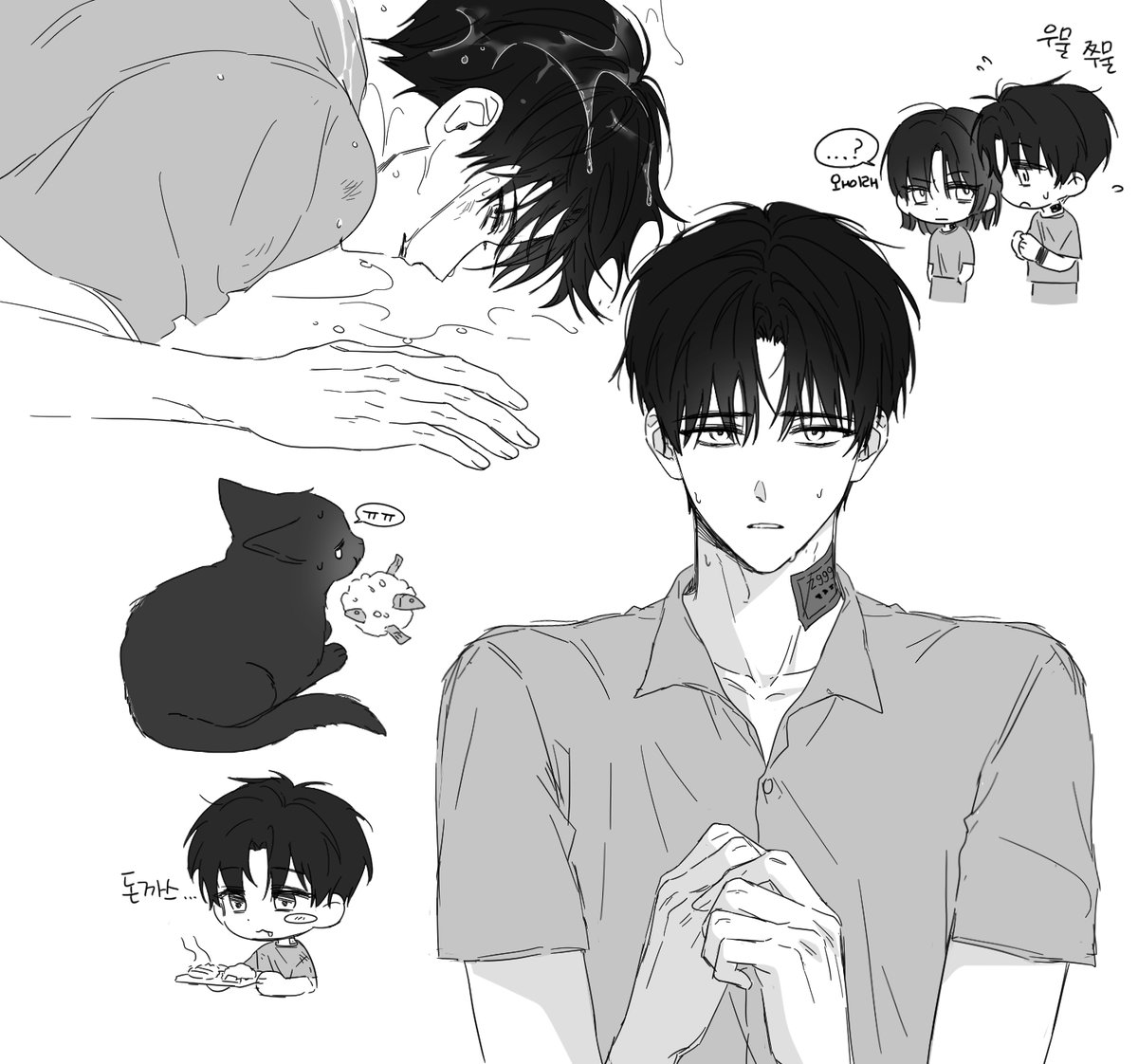 soapsoap_oo's tweet photo. 멸치주먹밥먹는고양이 이거진짜에요? https://t.co/FPbICFO3fV