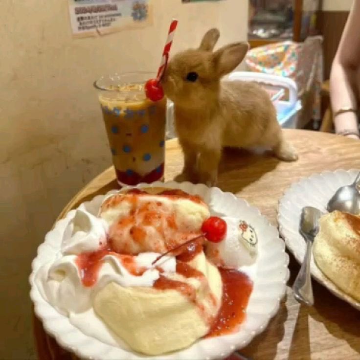 lulu’s food polls! tweet media