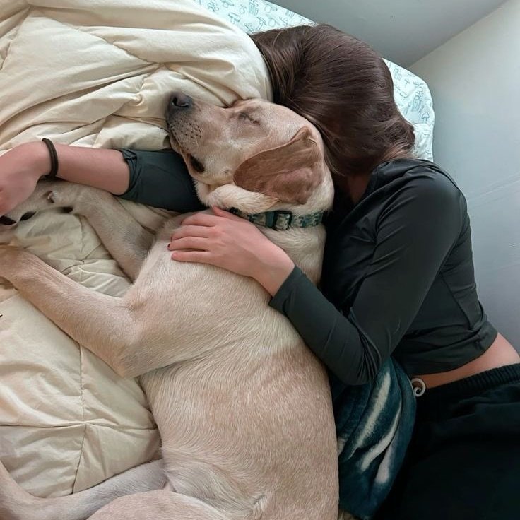 hardy620889's tweet photo. New release today!!👇👇
DM for menu @Luna006678
. #zoophilia #bestiality #doglover #dogknotting #dogsex #knotty #dogpill #dog #puppy #dogwhore #dogwoman #transgender
#LGBTQ #dogwhore #artofzod
#artofzoofirsttime. https://t.co/OEF8dkZDgh