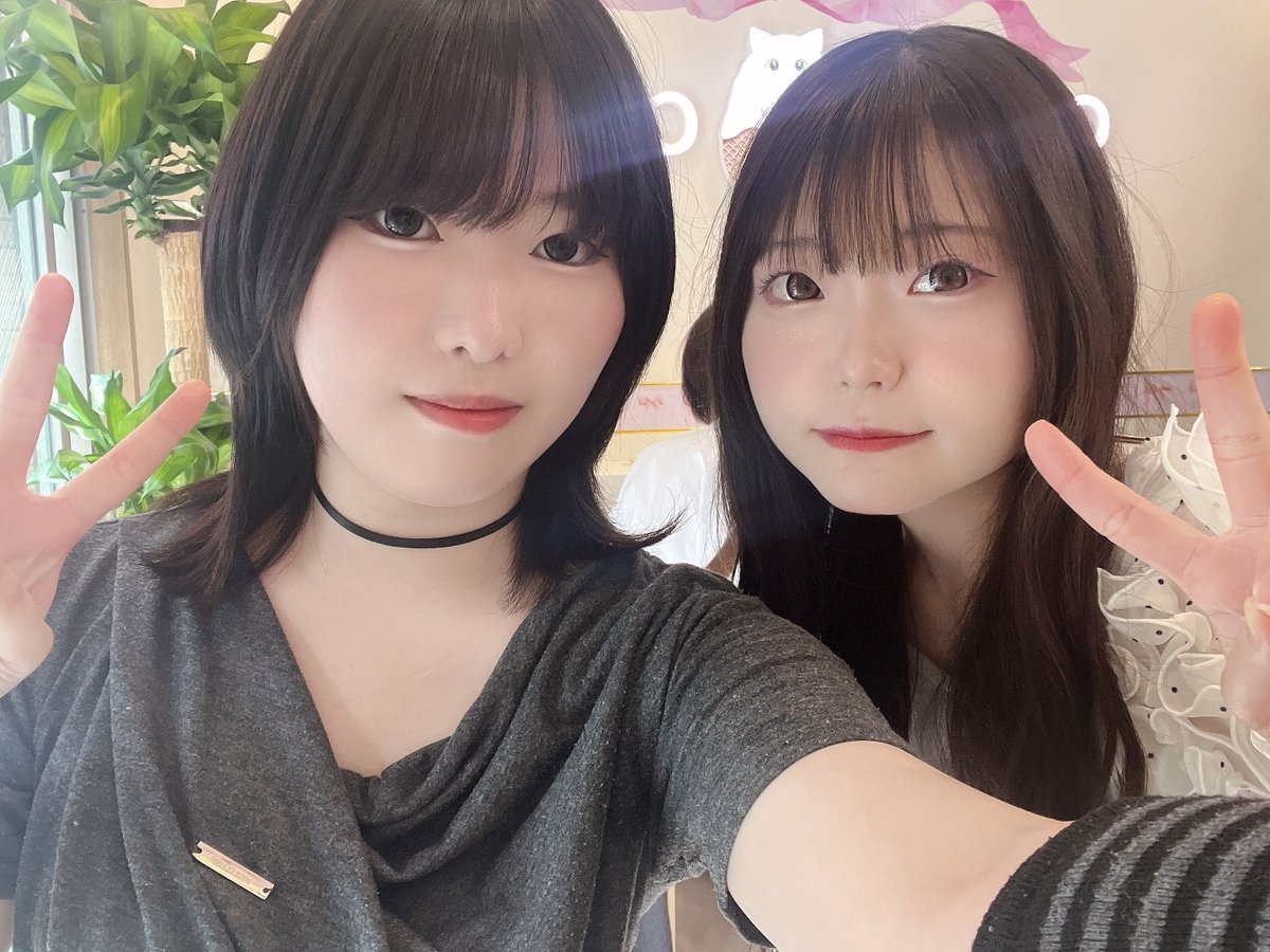 ねこめ (@nekome_88) / Posts / X